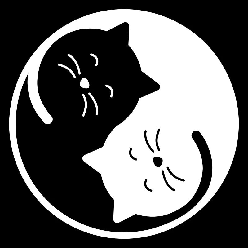 chat