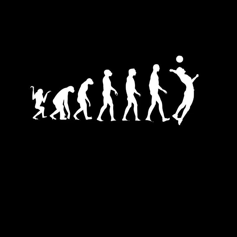 Volleyball Evolution