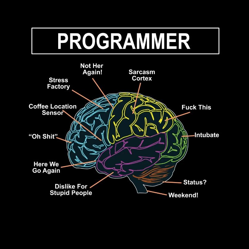 Programmeurs