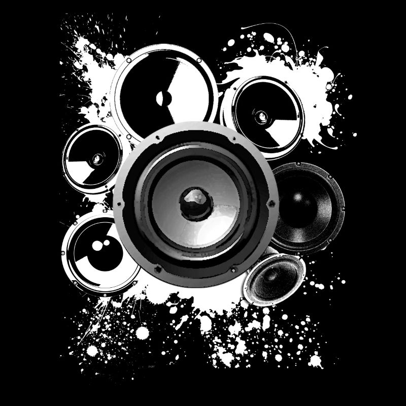 Construction haut-parleur haut-parleur Hifi classe de référence techno