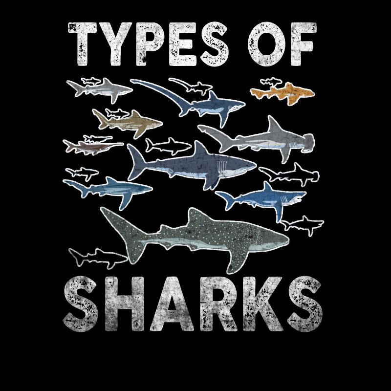Types de requins