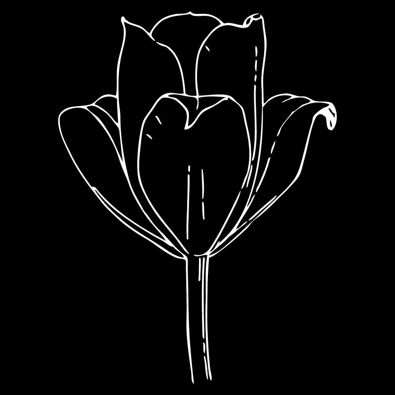 tulip