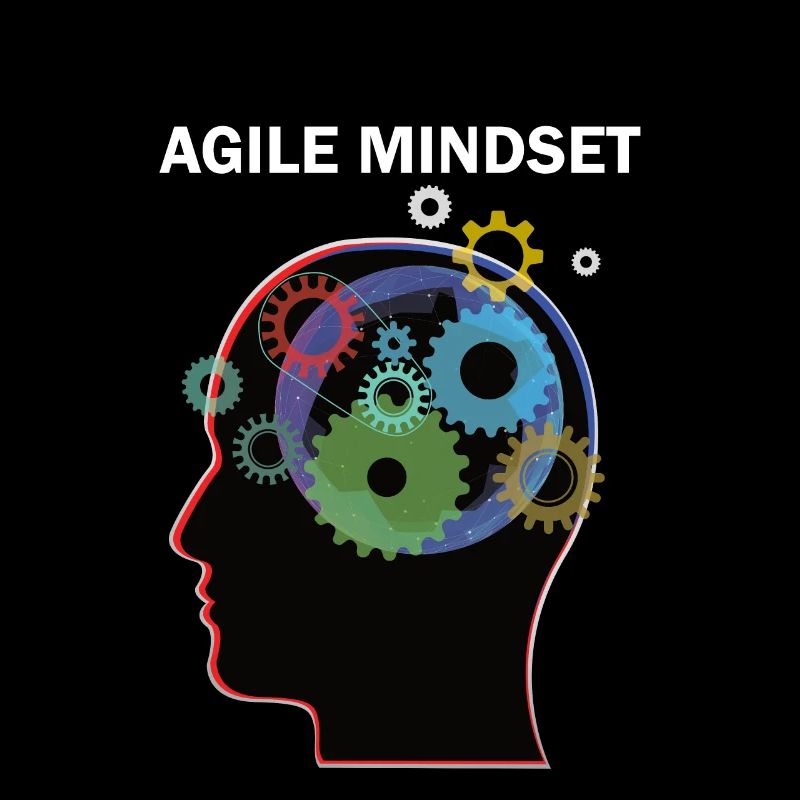 Agile Mindset Scrum Master programmer