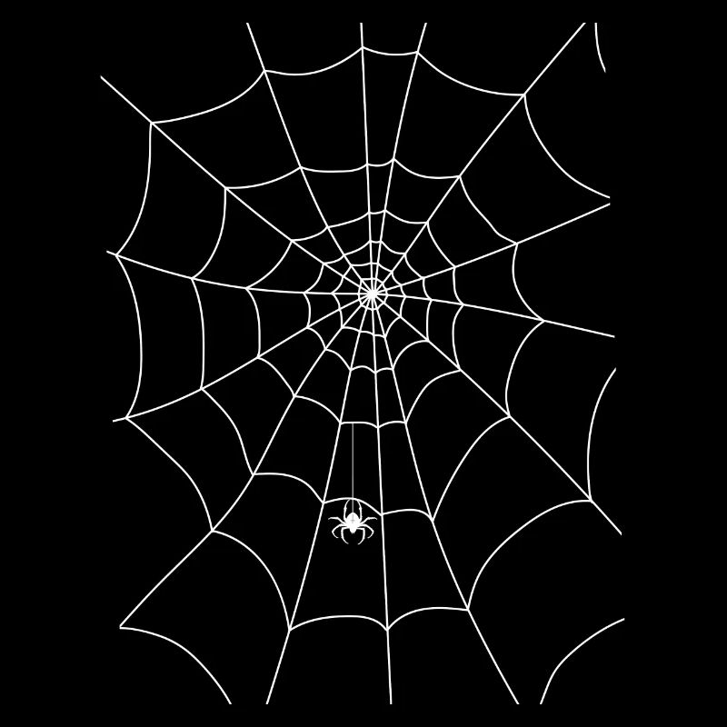 Spider web, spider, spider in the web