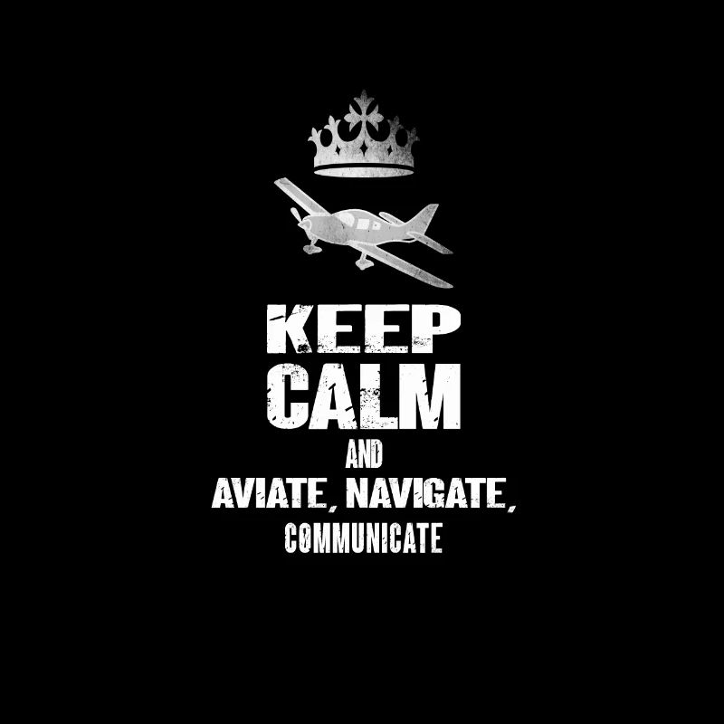 Luftfahrt Flugzeug Piloten