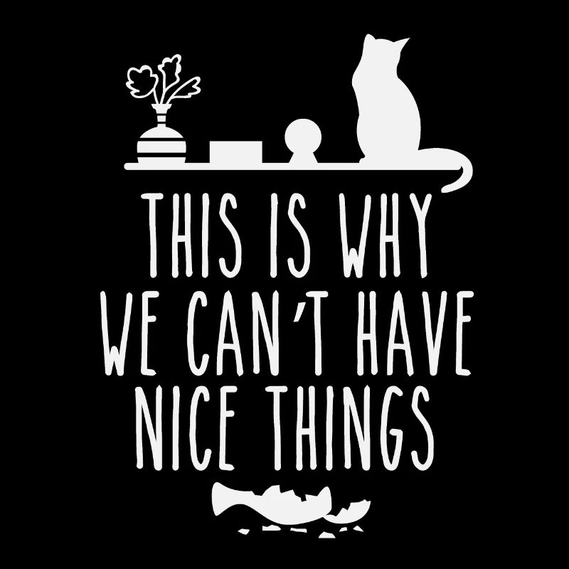 this is why we cant have nice things