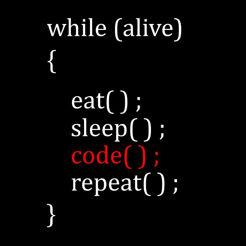 Computer Scientist Hobby