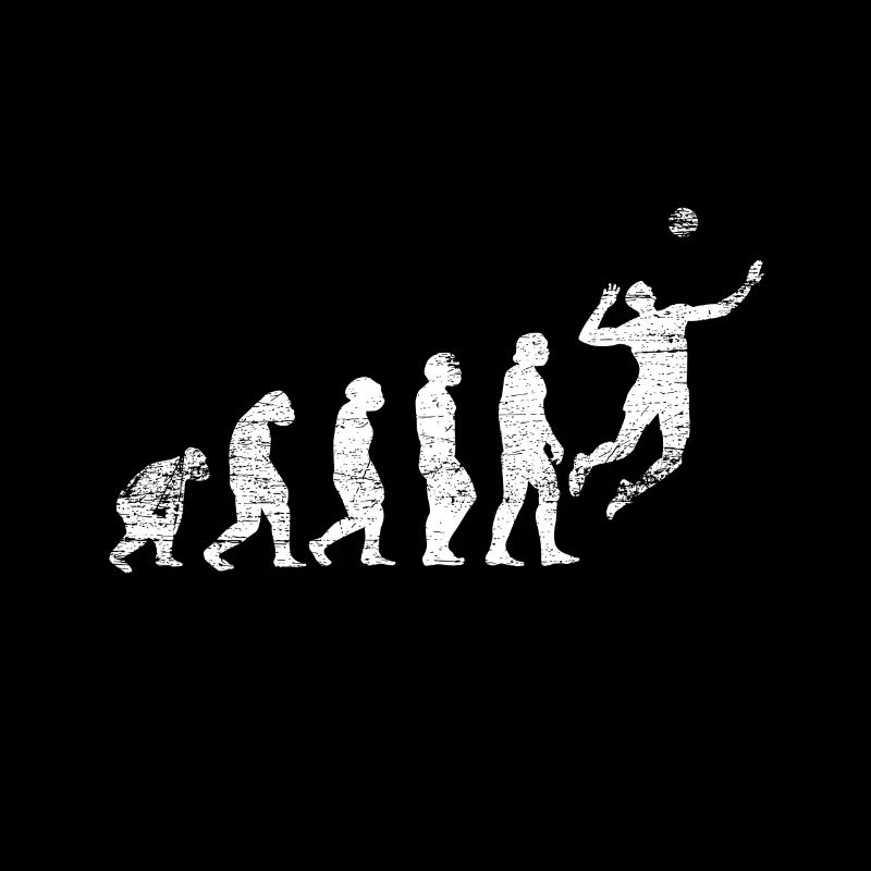 Evolution volleyball