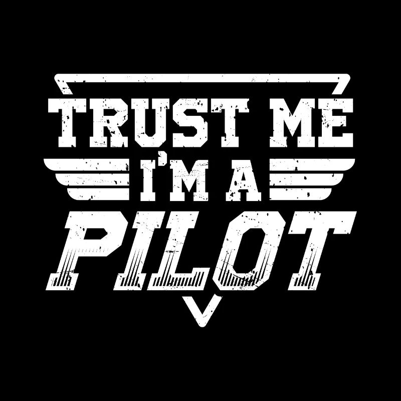 Trust me im a pilot flight instructor