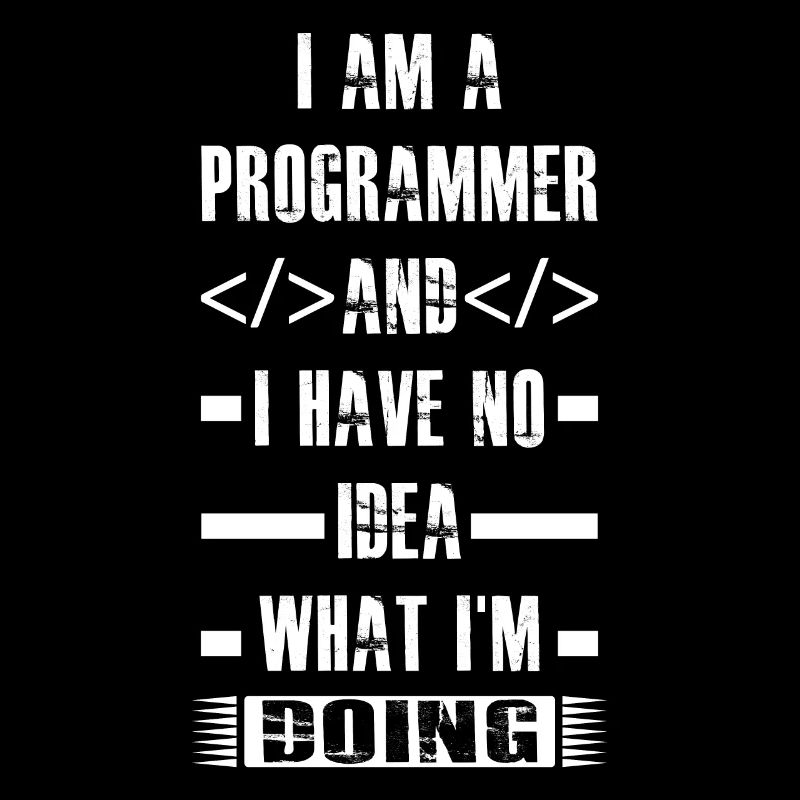Programmierer - I am a programmer and i have