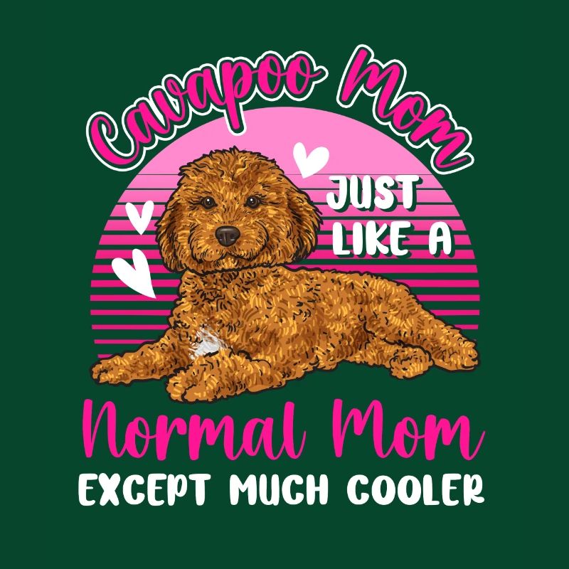 Cavapoo Cavoodle Capoodle Hund