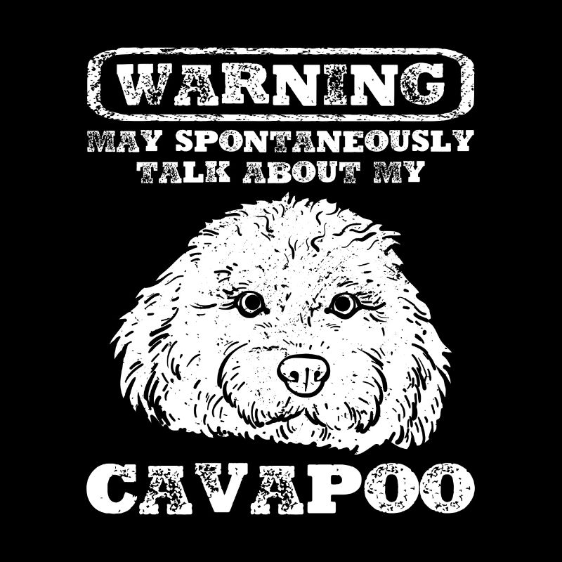 Cavapoo Cavoodle Capoodle Hund
