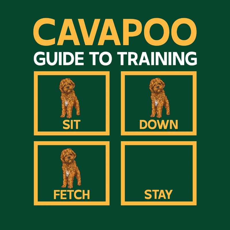 Cavapoo Cavoodle Capoodle Hund