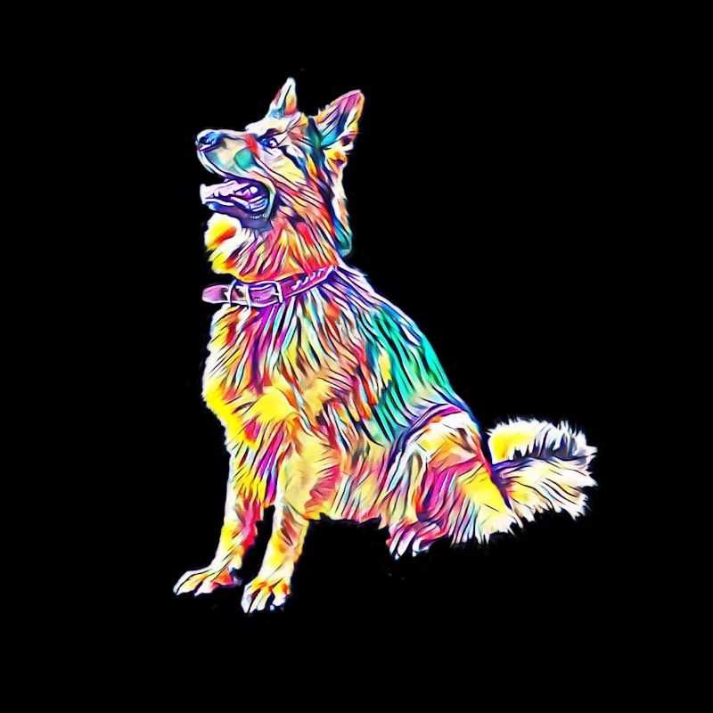 Schäferhund