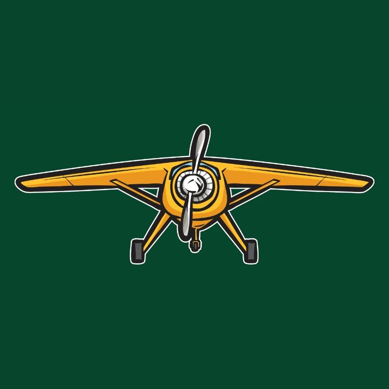 Modèle d’avion télécommandé