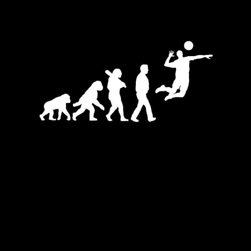 Évolution du volley-ball