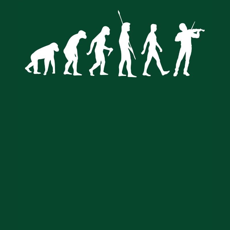 Evolution Violon - Violoniste