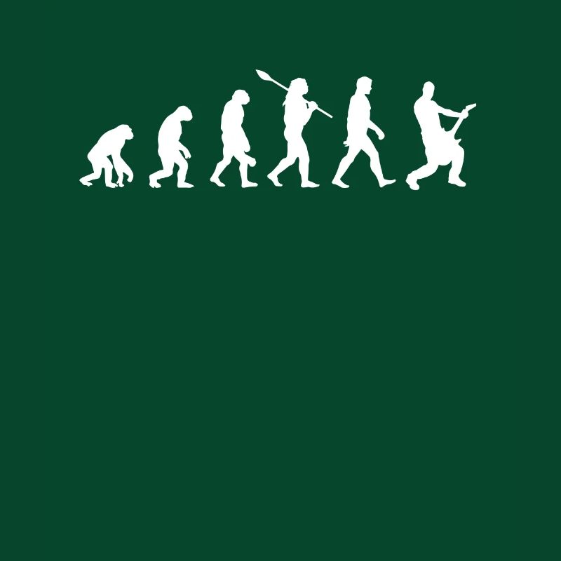 Guitar evolution