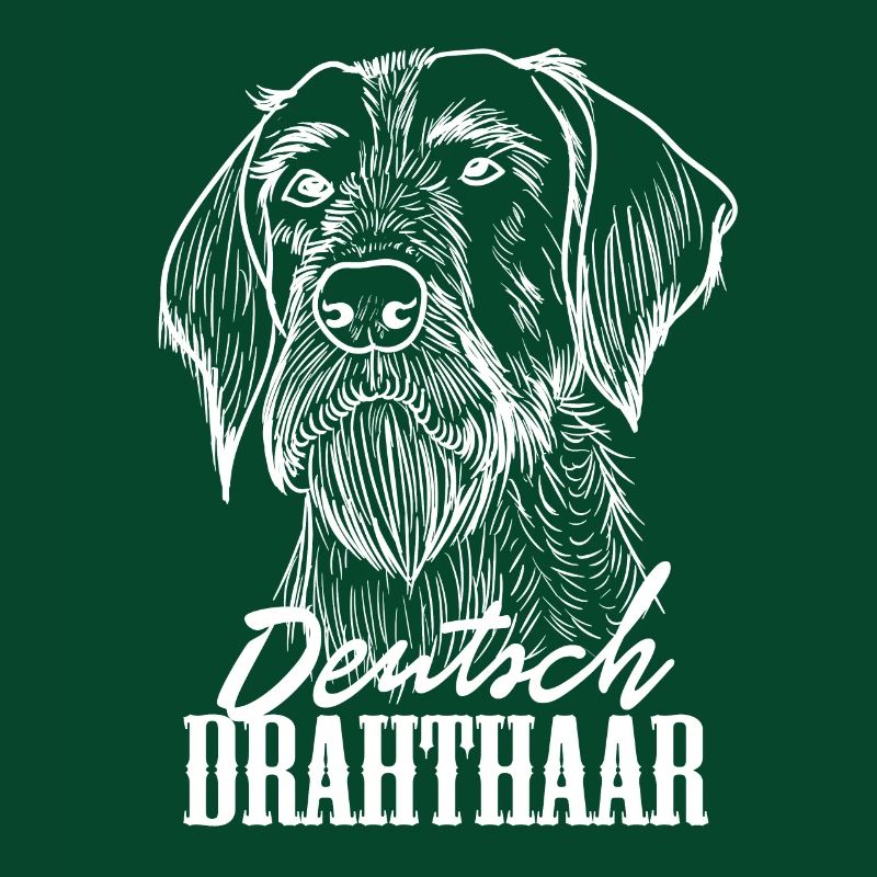 Deutsch Drahthaar Hund Hunde Jagdhund Jagd Geschen