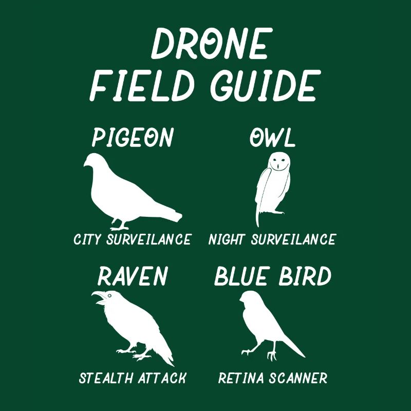 Funny Drone Guide