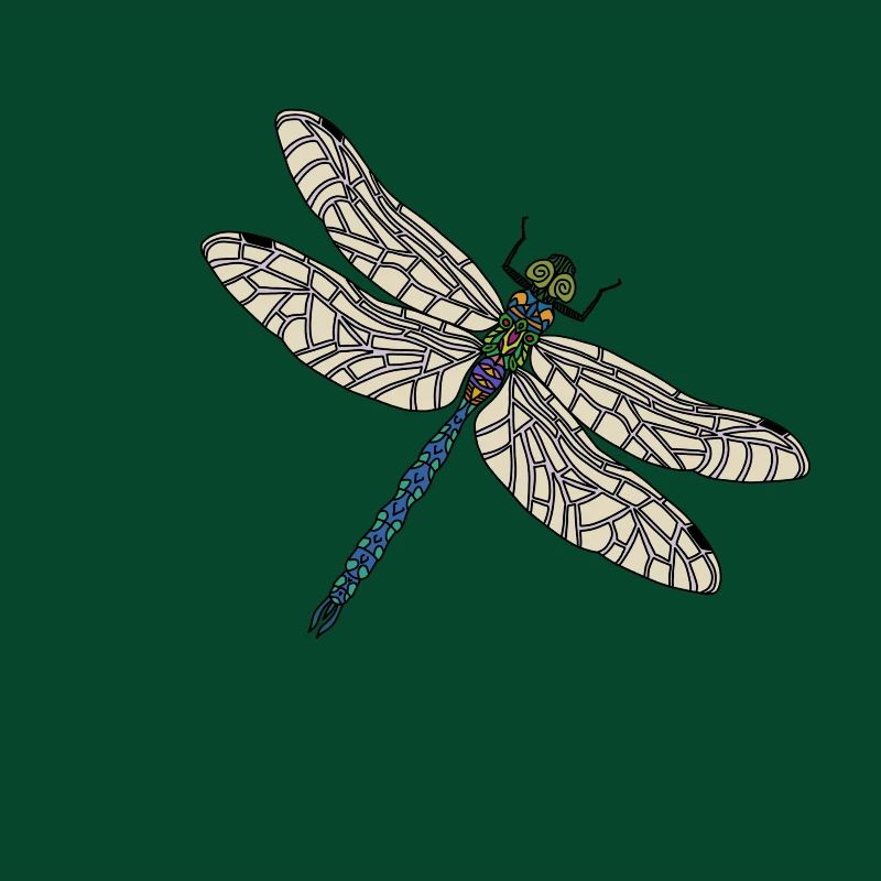 Libellule