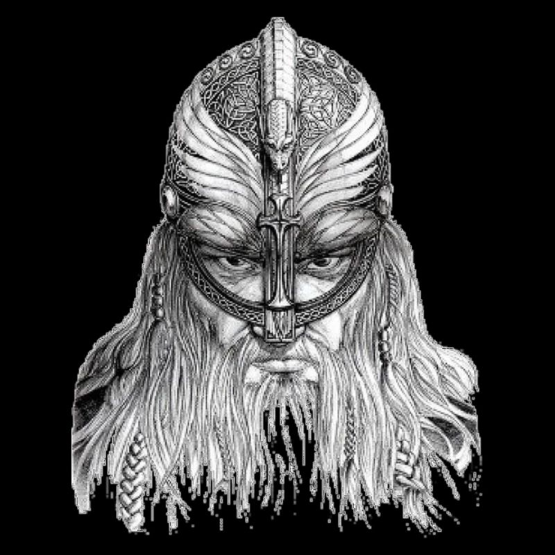 Vikinger 2