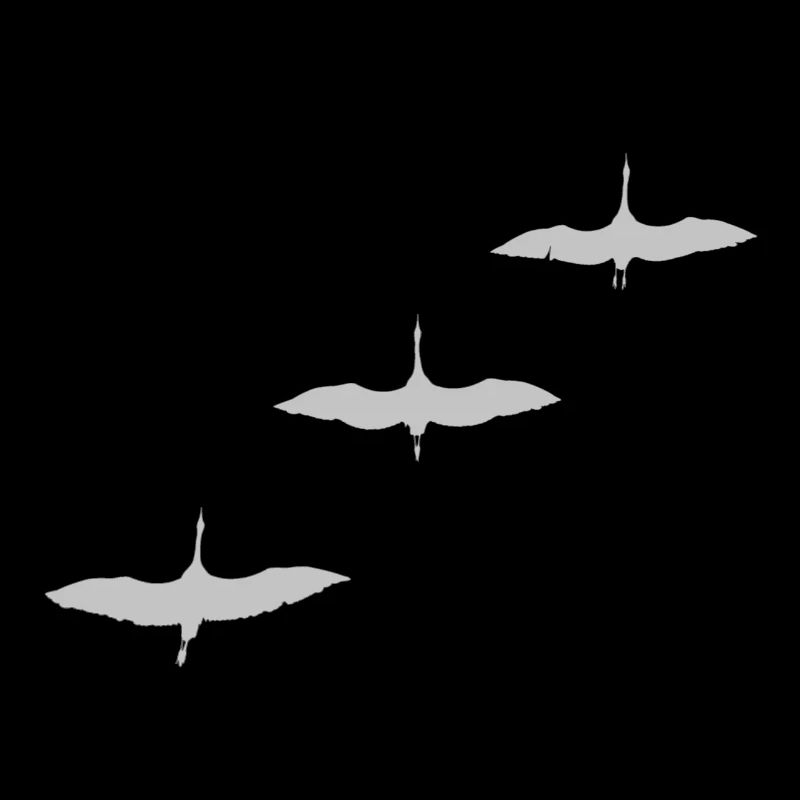 KRANICH STORCH INFORMATION FLIGHT ZUGVOGEL