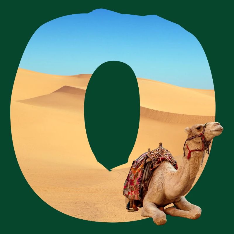 désert avec kamel o