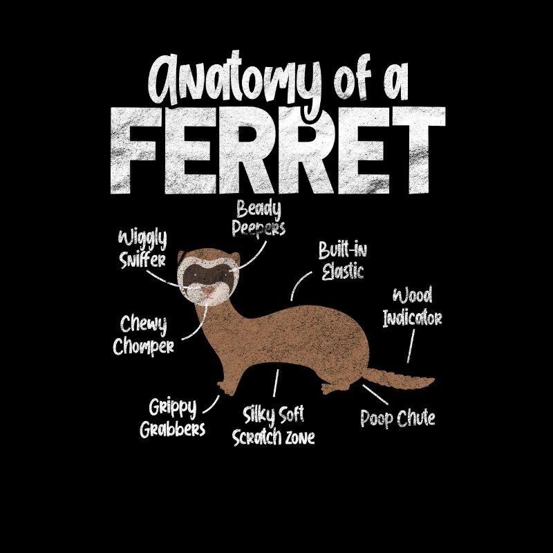 Furet