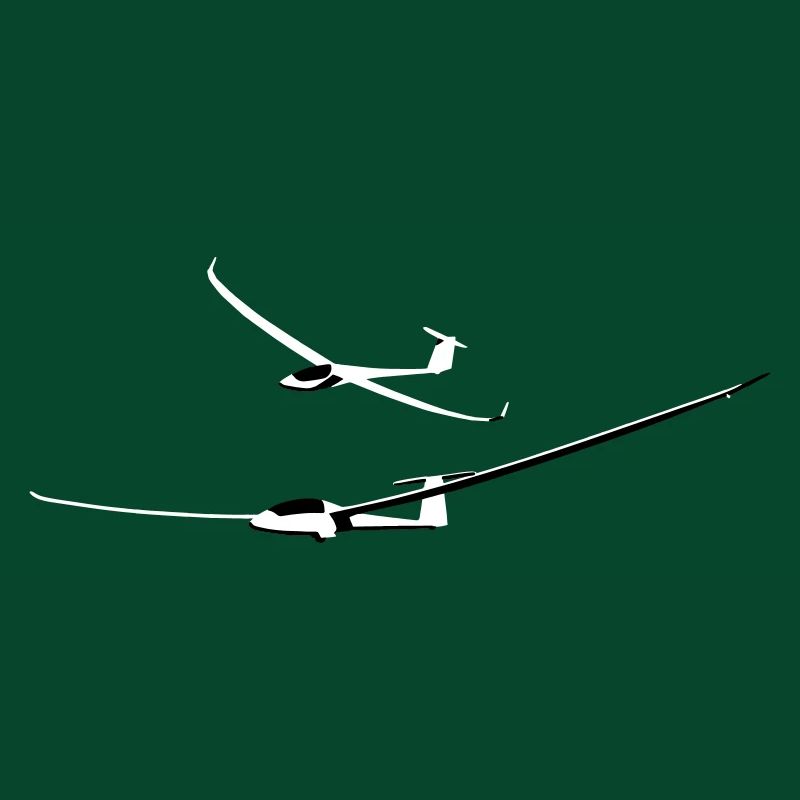 Glider Gliding Glider Glider Pilot Pilot