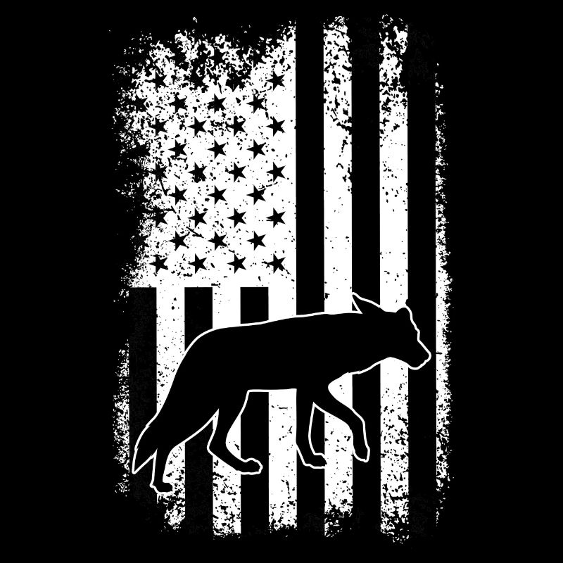 Conception de coyote pour les réacteurs de coyote