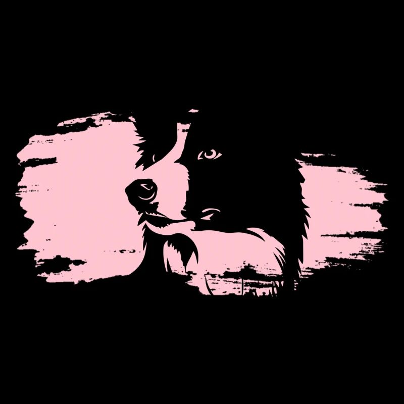 Border Collie Kopf