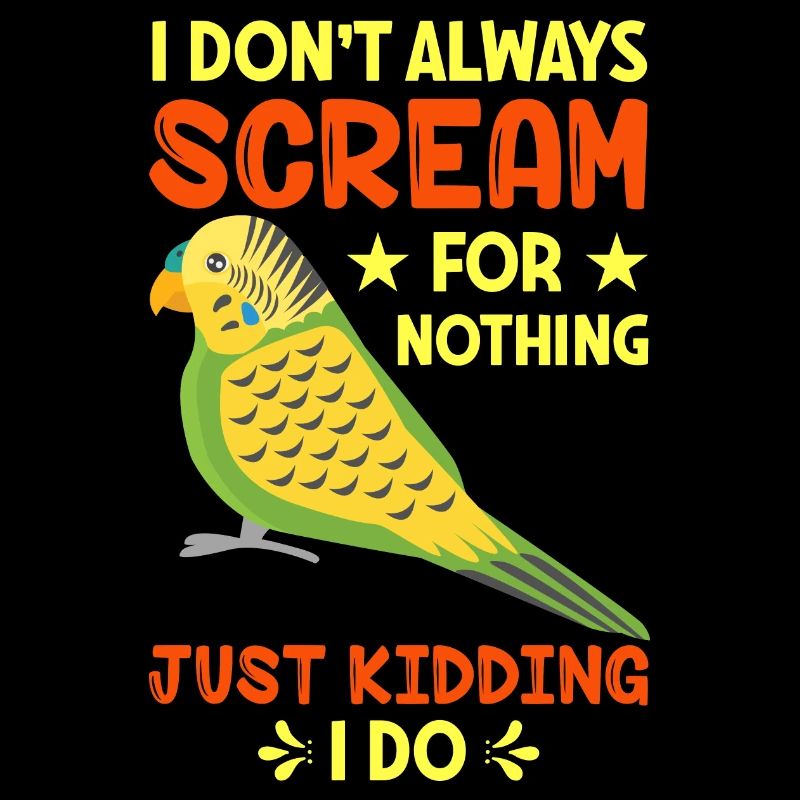 Perruche ondulée, ami à plumes, observation des oiseaux