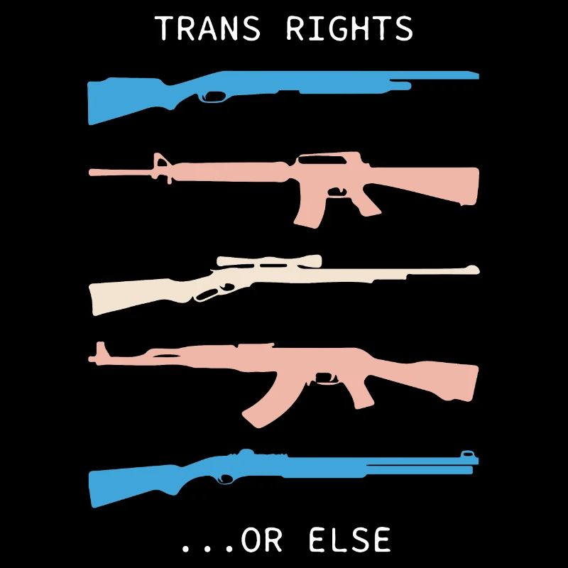 TRANS RIGHTS OR ELSE meaning trend
