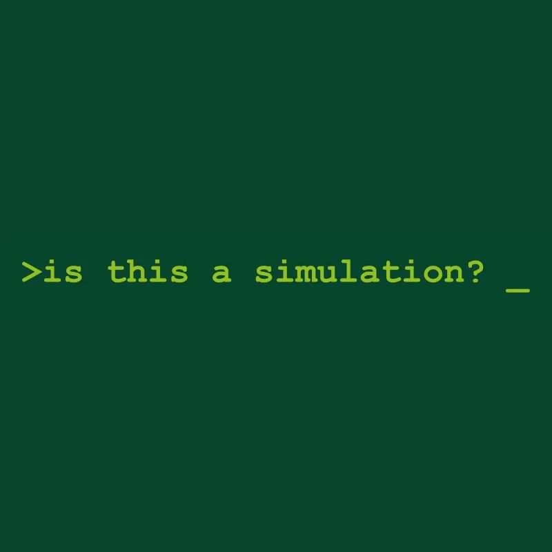 Is this a simulation Programming Informatik