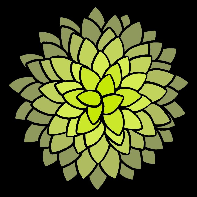 MUMS Fleurs Fleurs Fleurs