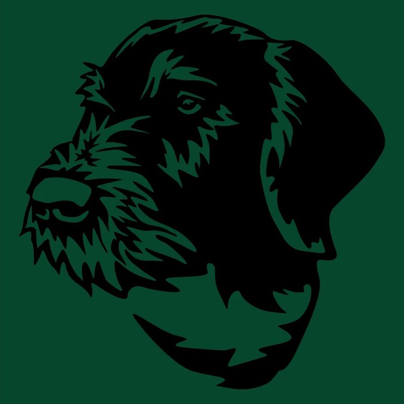 German Wirehaired Pointer