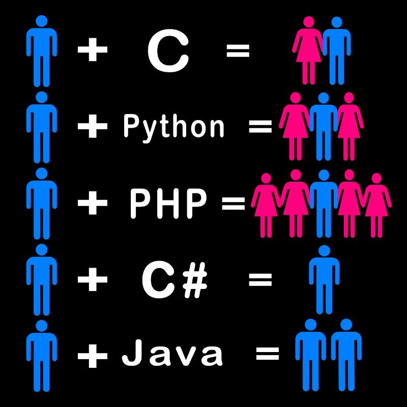 Programmer