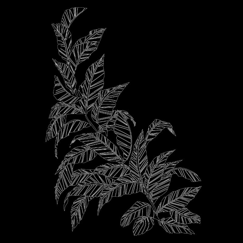 Feuilles de danse