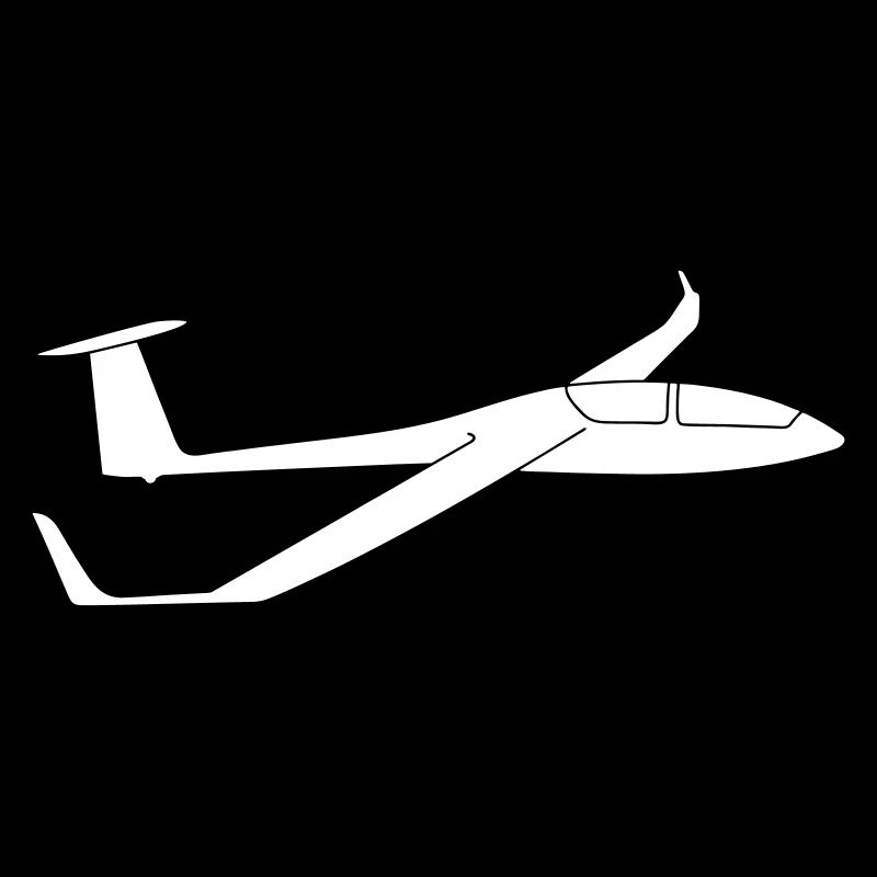 DG1000 glider glider pilot glide