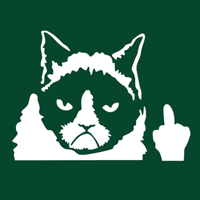 Angry Cat Katze Main Coon Perser Katze Geschenk