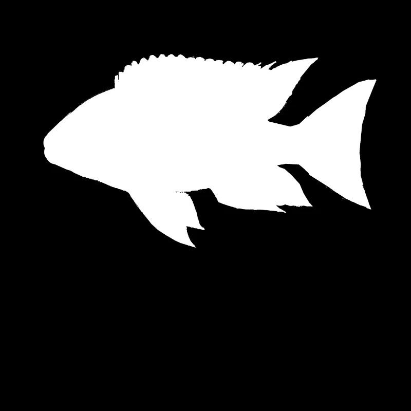 Afrikanisch Malawisee Buntbarsch Aquarium Geschenk