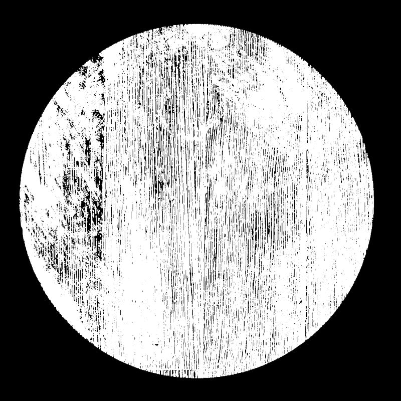 Fond minimaliste de cercle blanc grunge