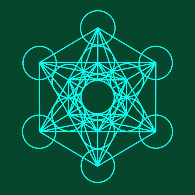 Metatrons Würfel 16