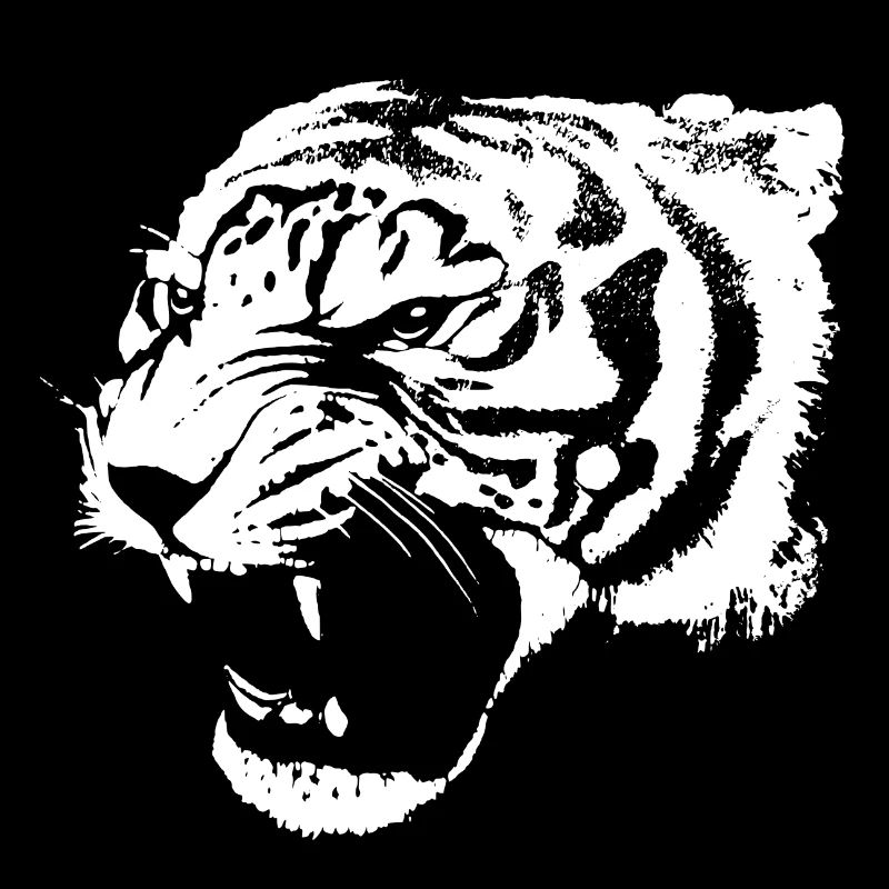 Tigre blanc