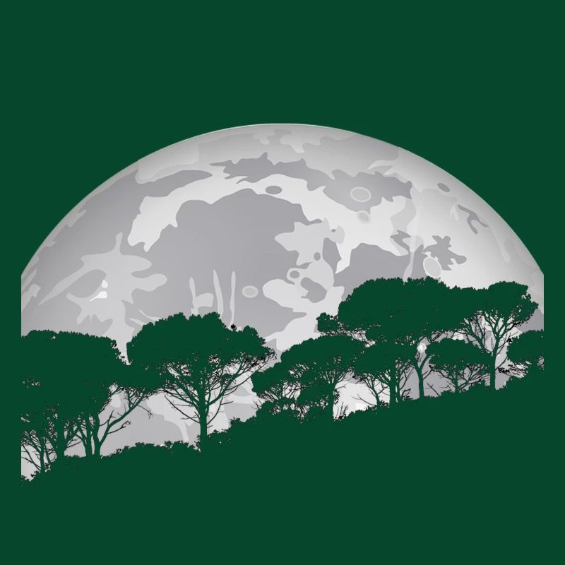 La forêt au clair de lune
