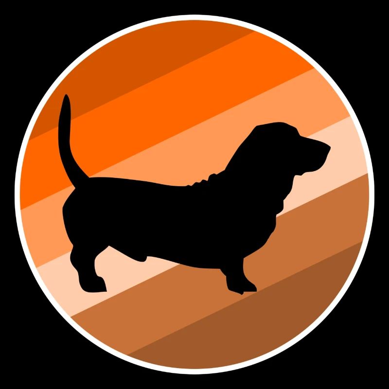 dachshund