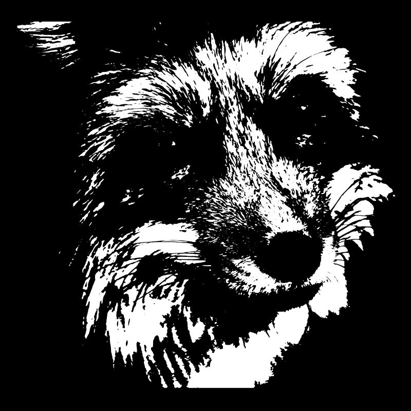 Fox black and white