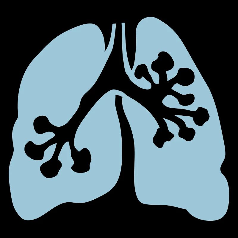 lung 1 2