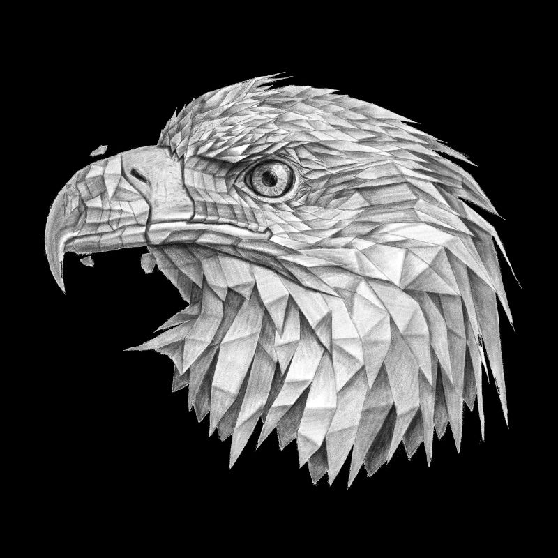 Adler
